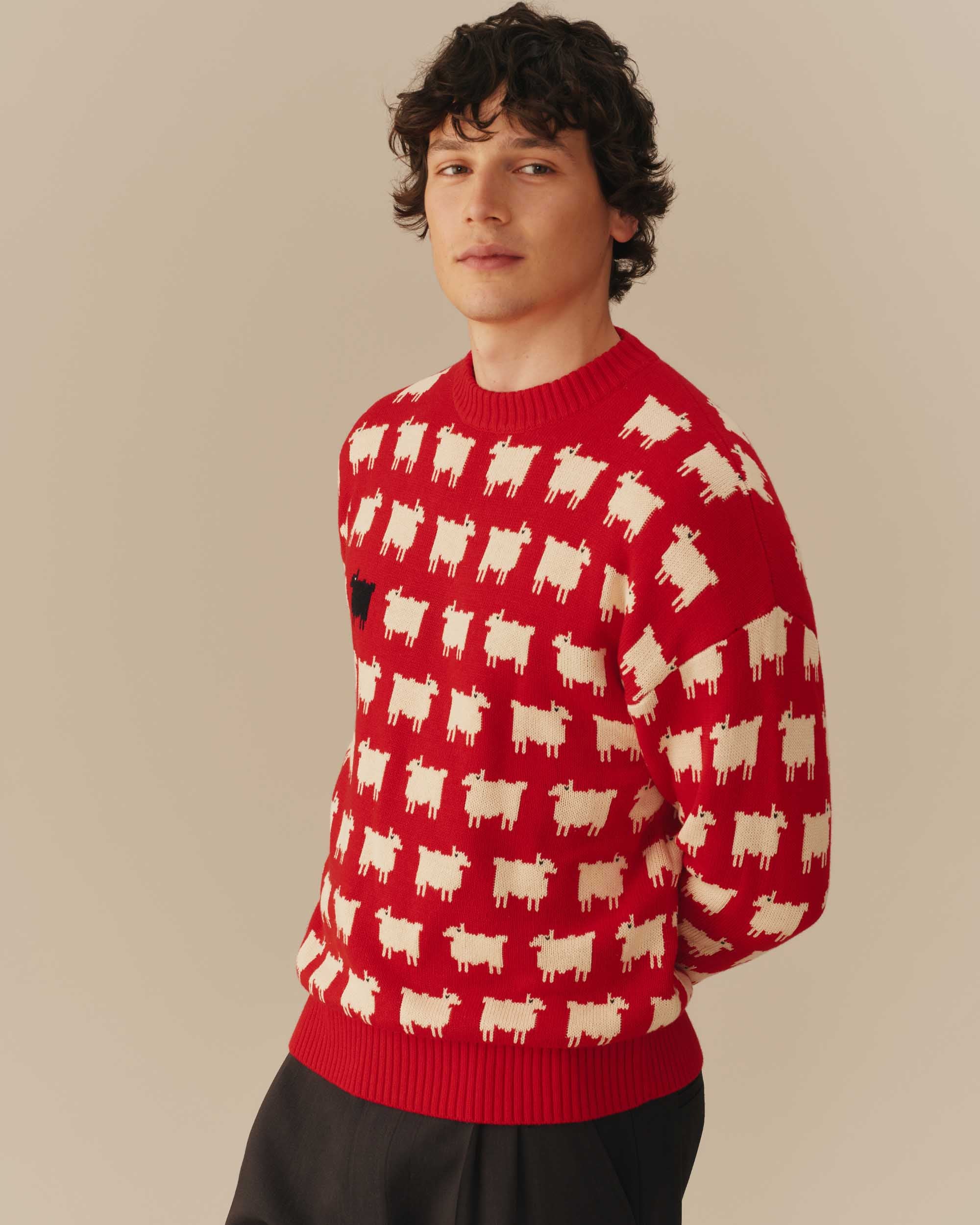 Men's Warm & Wonderful "Diana Edition" Cotton Sheep Sweater - Image 4