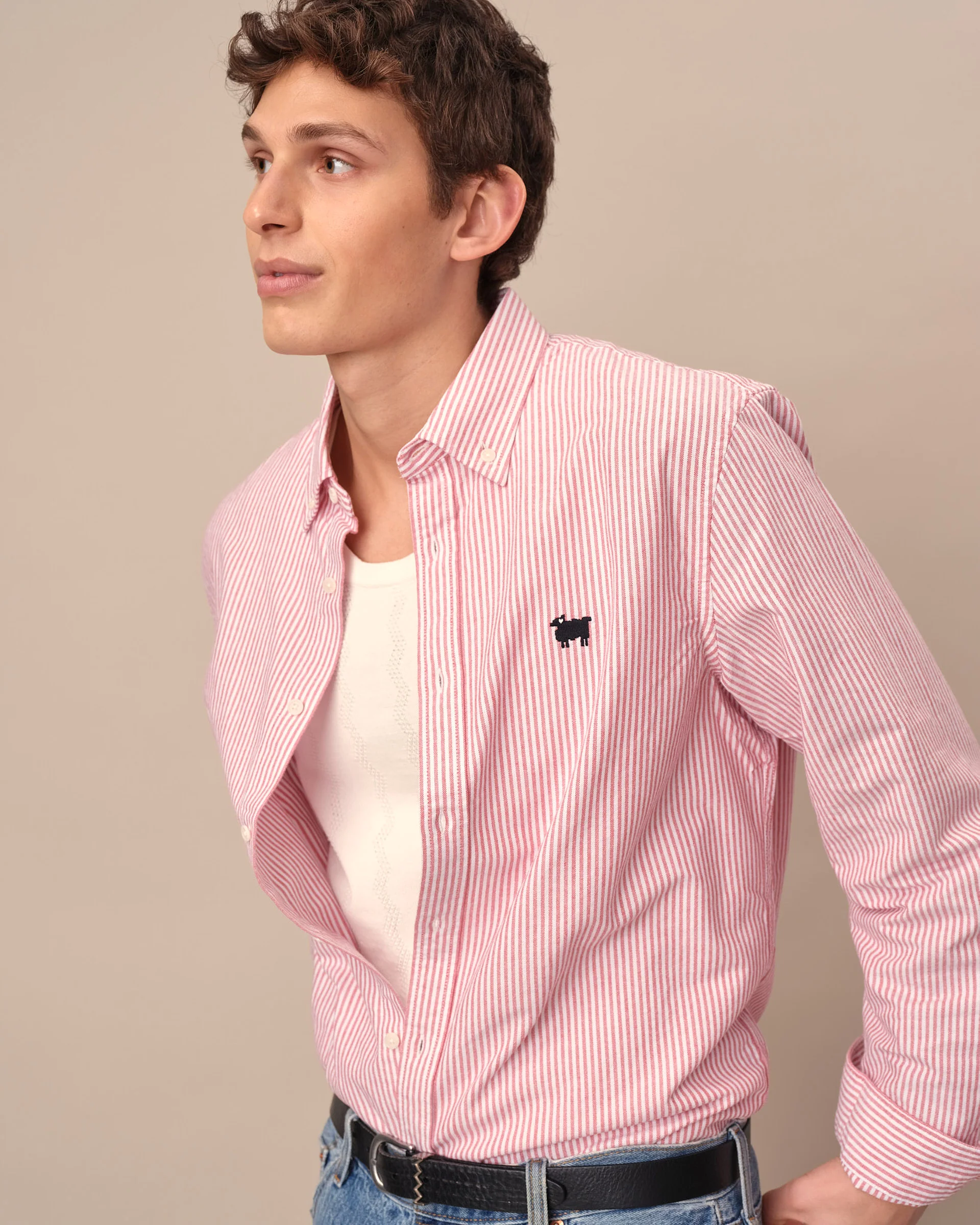 Warm & Wonderful Sheep Oxford Button Down Red - Image 4