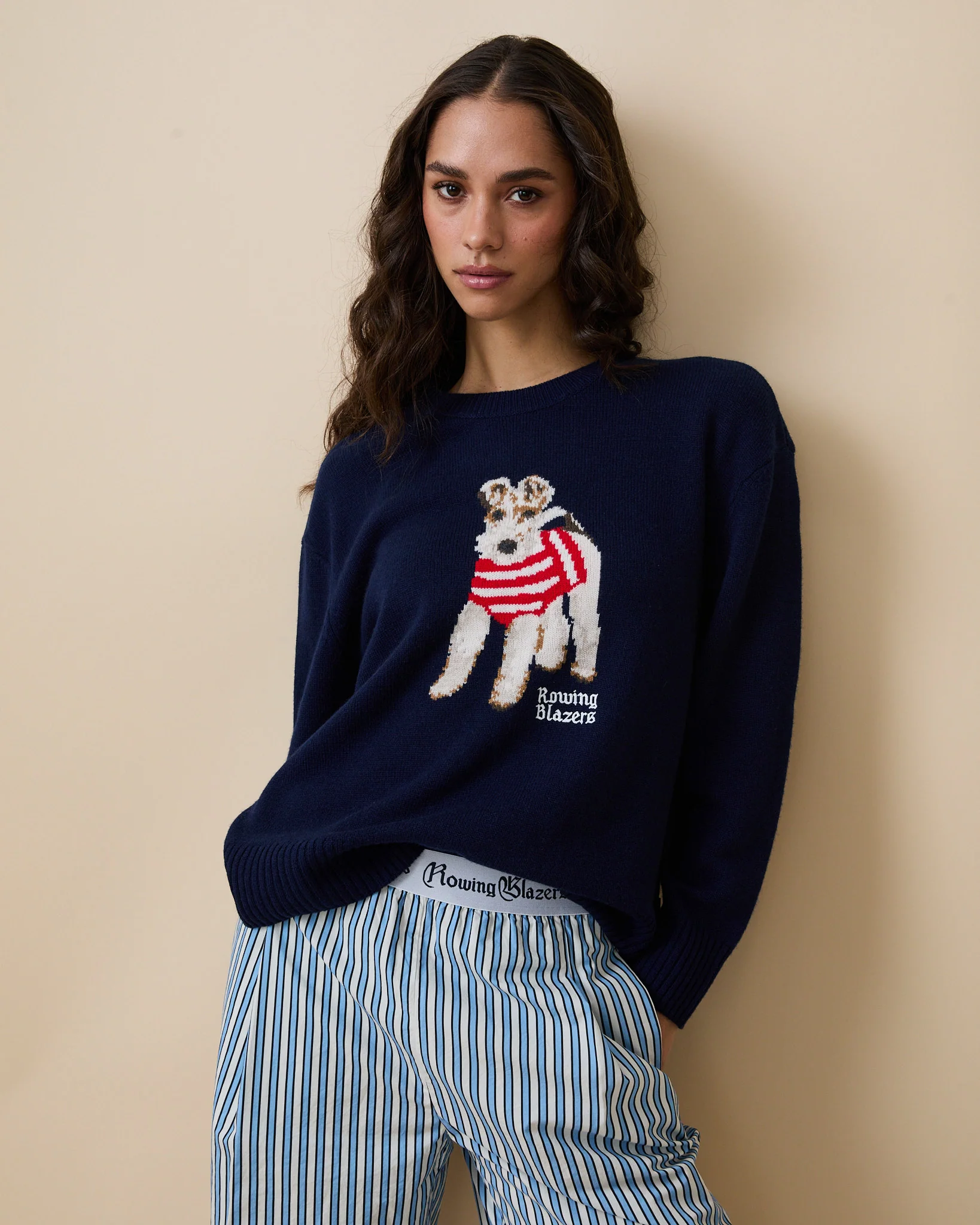 Cashmere Terrier Sweater Navy