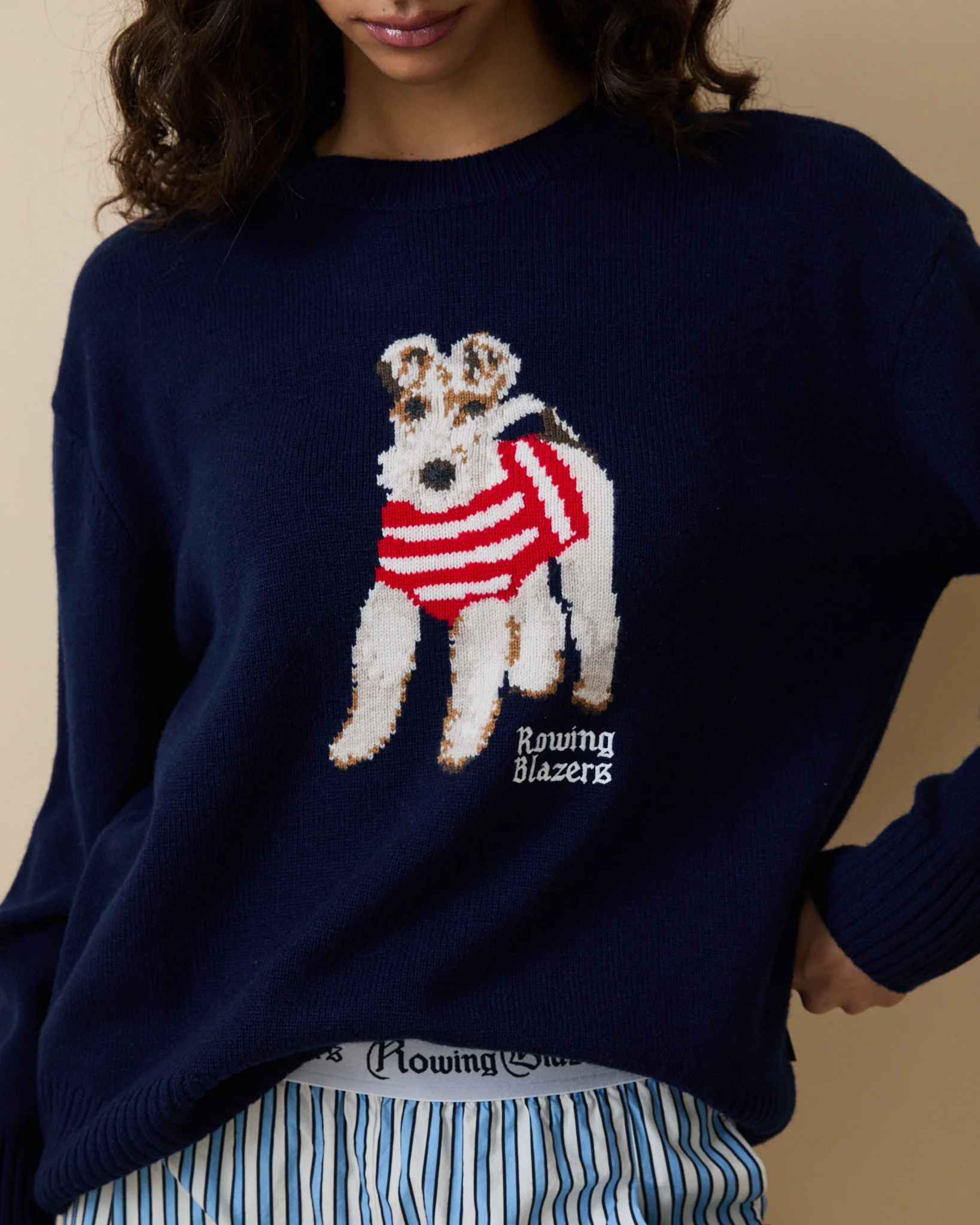 Cashmere Terrier Sweater Navy - Image 2