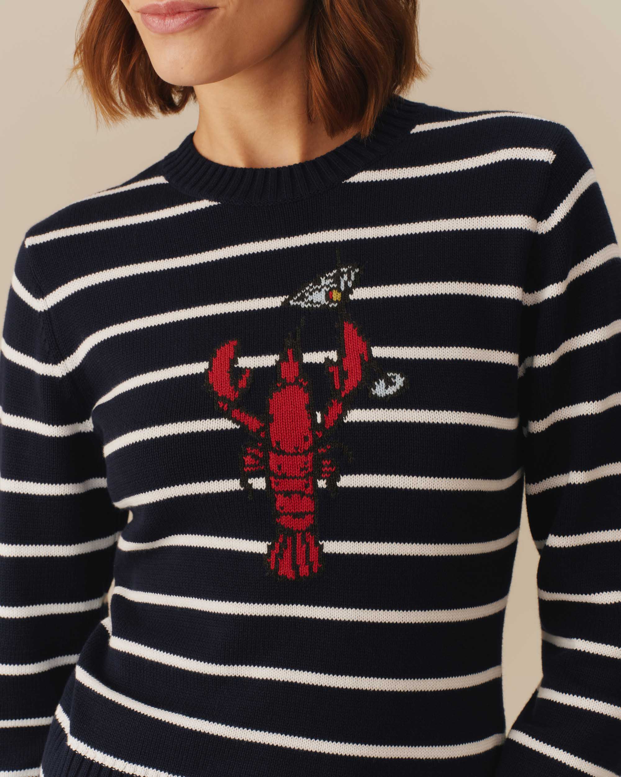 Cotton Lobster & Martini Striped Sweater Navy - Image 5