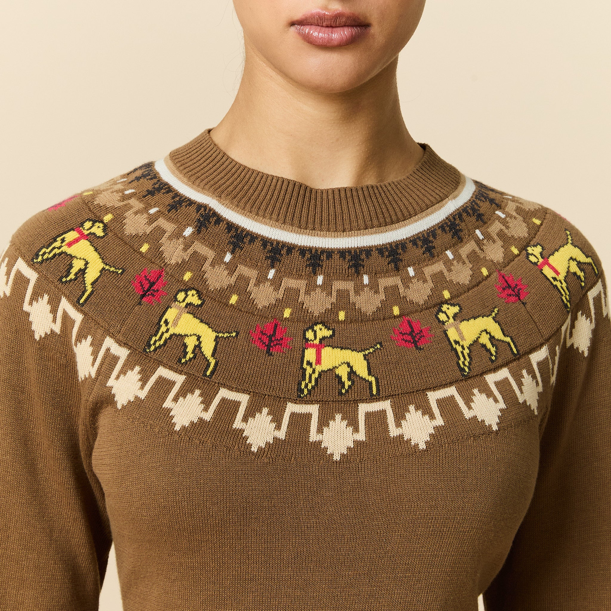 Cotton Thanksgiving Fairisle Sweater Brown - Image 4